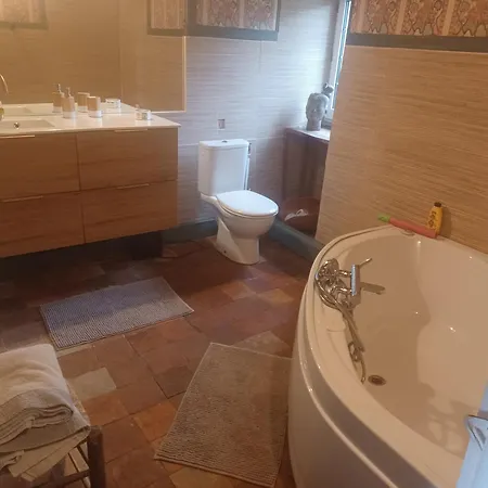Chateau De Brie Bed & Breakfast Aulnay (Charente-Maritime)