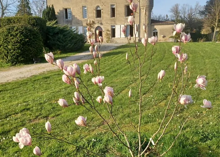 Chateau De Brie Bed & Breakfast *